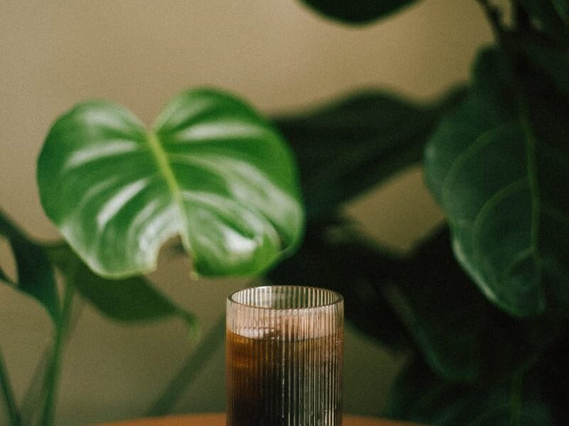 Mac's cold brew in a ribbed glass on a terracotta table in front of house plants